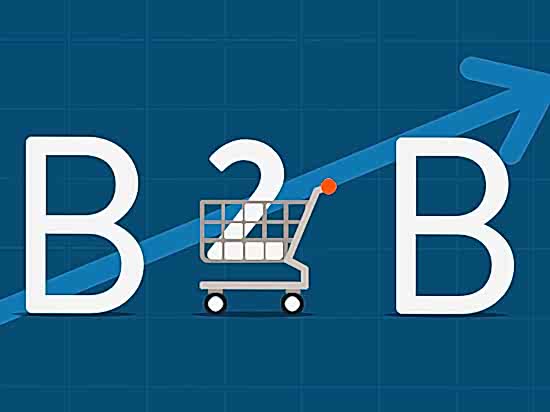 B2B Bayi Programı Nedir?