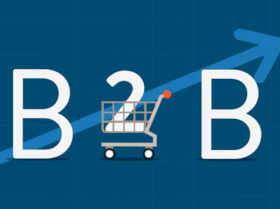 B2B Bayi Yönetim Sistemleri